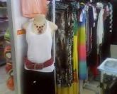Galipalu Fashion Modas
